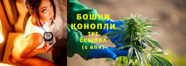 гидра Белокуриха