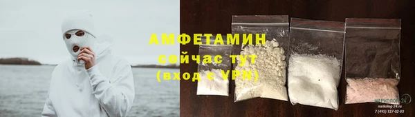 гидра Белокуриха