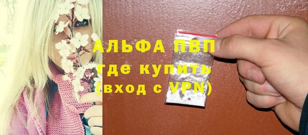 гидра Белокуриха