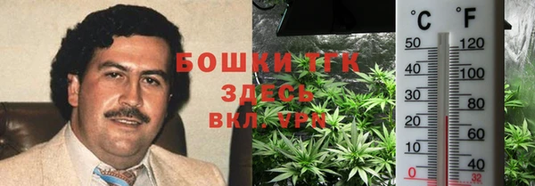 гидра Белокуриха