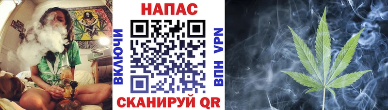 где можно купить   Нахабино  Конопля гибрид 